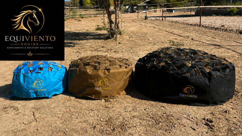 HayNest Slowfeeder